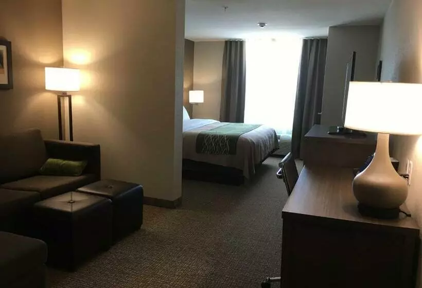 身障者適用スイートルーム, Comfort Inn & Suites Snyder