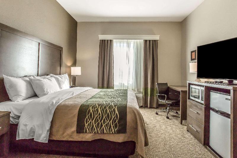 스탠다드 룸 킹사이즈 침대, Comfort Inn & Suites Snyder