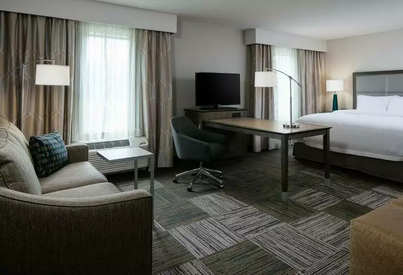 キングサイズベッドのデラックススイート, Hampton Inn & Suites Hudson