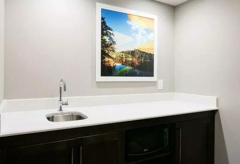 キングサイズベッドのデラックススイート, Hampton Inn & Suites Hudson