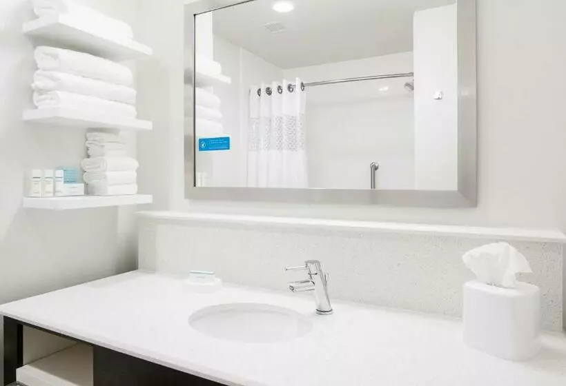 キングサイズベッドのデラックススイート, Hampton Inn & Suites Hudson