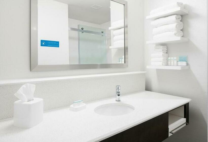 디럭스 스위트 킹 침대, Hampton Inn & Suites Hudson