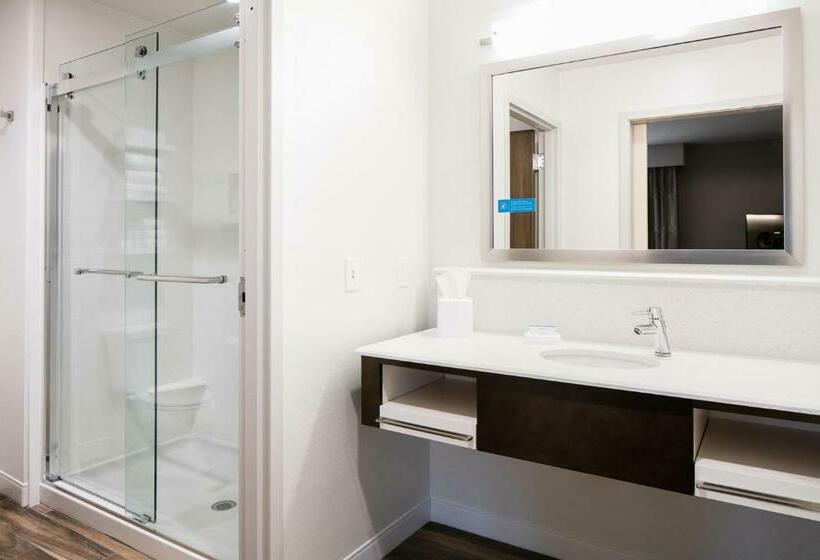 디럭스 스위트 킹 침대, Hampton Inn & Suites Hudson