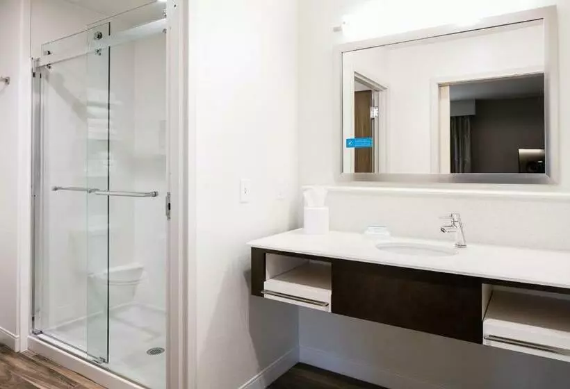 キングサイズベッドのデラックススイート, Hampton Inn & Suites Hudson