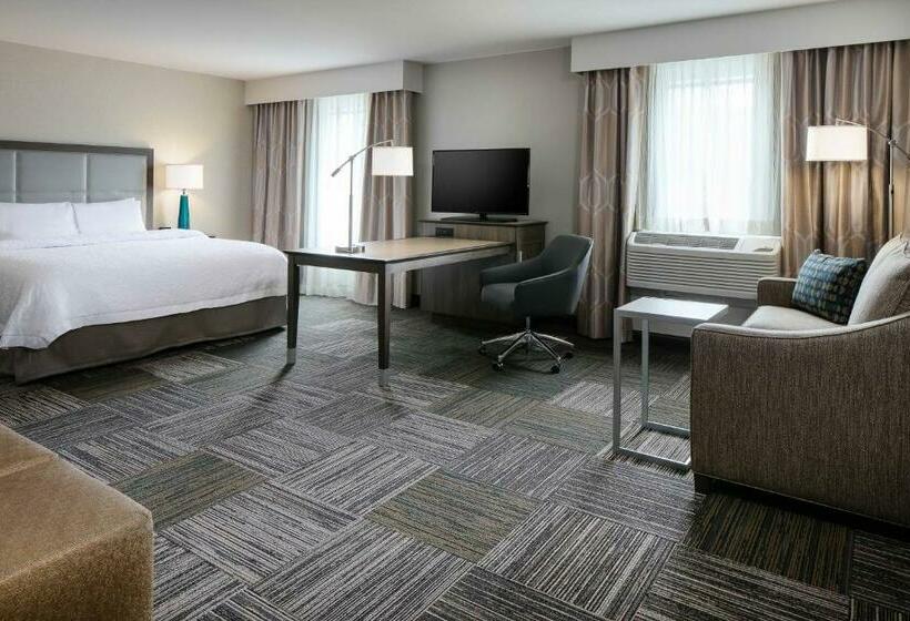 디럭스 스위트 킹 침대, Hampton Inn & Suites Hudson