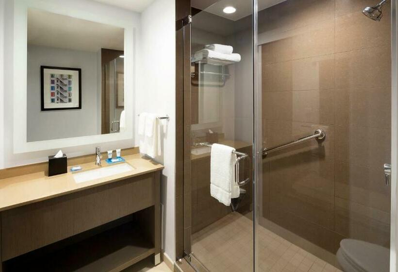 جناح سرير كينج, Hyatt House Dallas/frisco