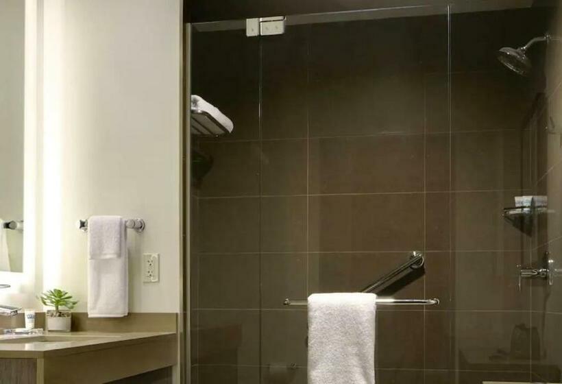 جناح سرير كينج, Hyatt House Dallas/frisco