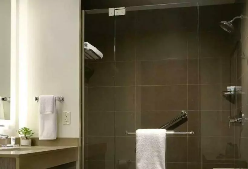 キングサイズベッドのスイートルーム, Hyatt House Dallas/frisco