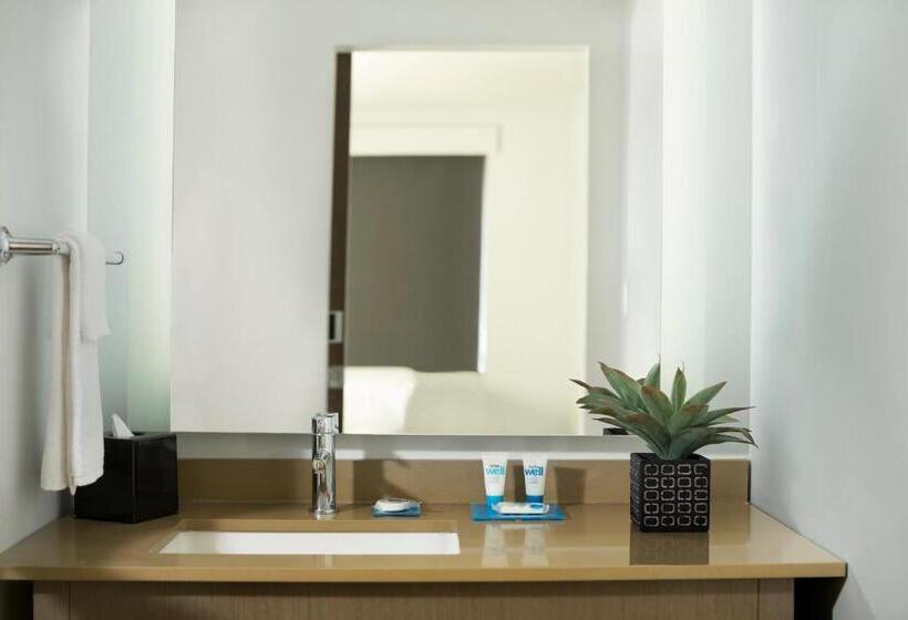 إستوديو قياسى سرير ملكى, Hyatt House Dallas/frisco