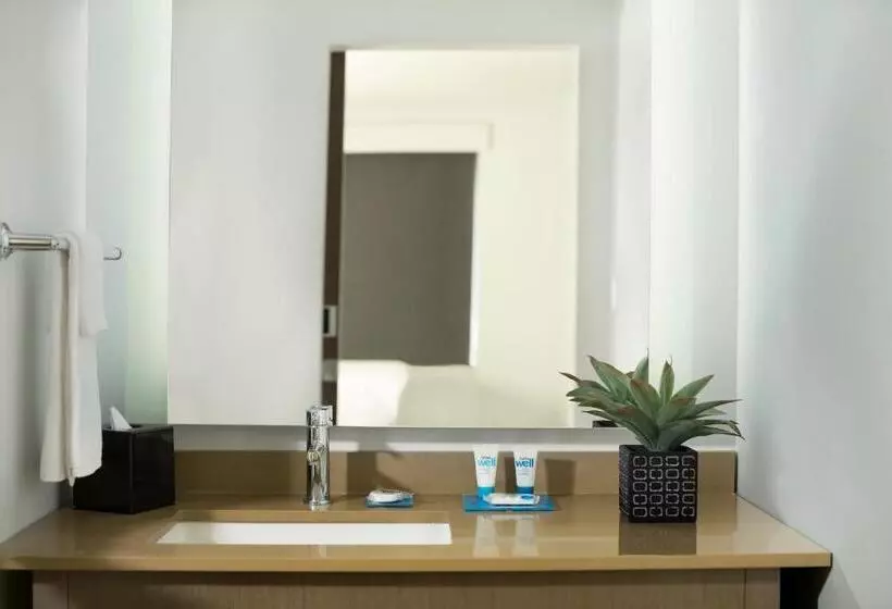 クイーンベッドのスタンダードスタジオ, Hyatt House Dallas/frisco