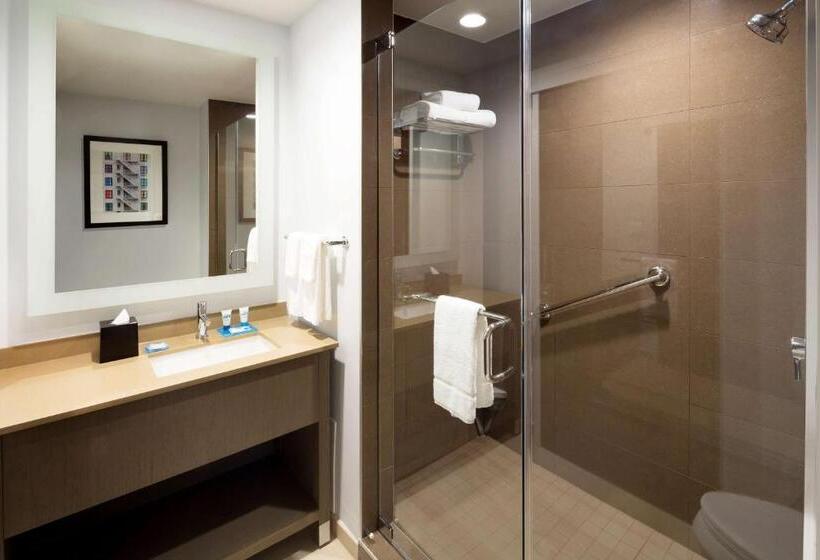 غرفة قياسية سرير كينج لذوى الإحتياجات الخاصة, Hyatt House Dallas/frisco