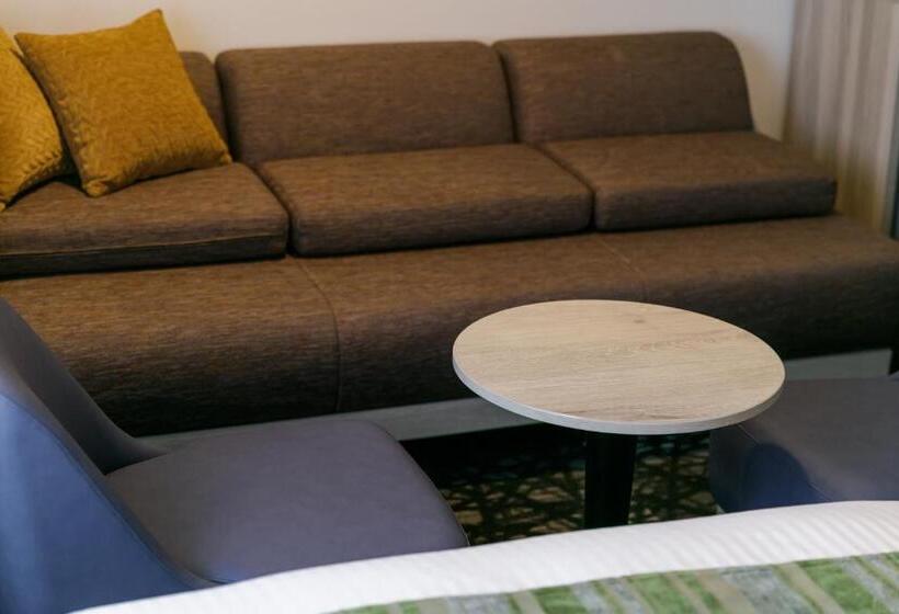 Номер Стандарт Трехместный, Mystays Kagoshima Tenmonkan