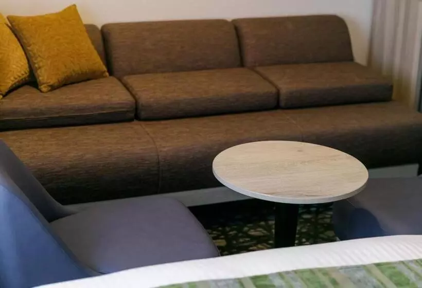 Standard Kolmen Hengen Huone, Mystays Kagoshima Tenmonkan