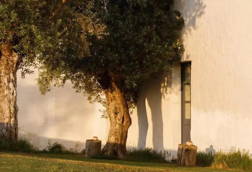 スタンダードルーム, São Lourenço Do Barrocal