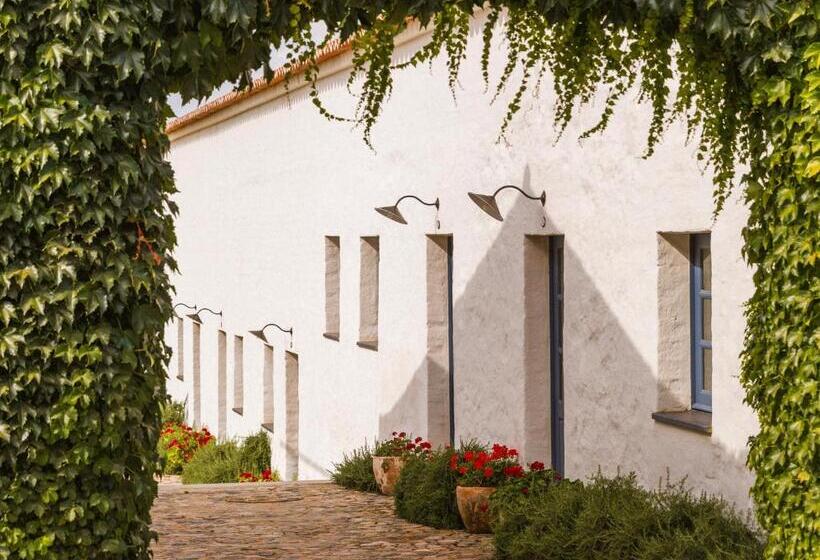 חדר סטנדרט, São Lourenço Do Barrocal