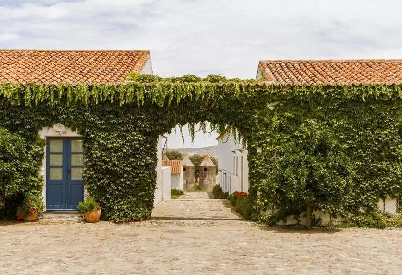 スタンダードルーム, São Lourenço Do Barrocal