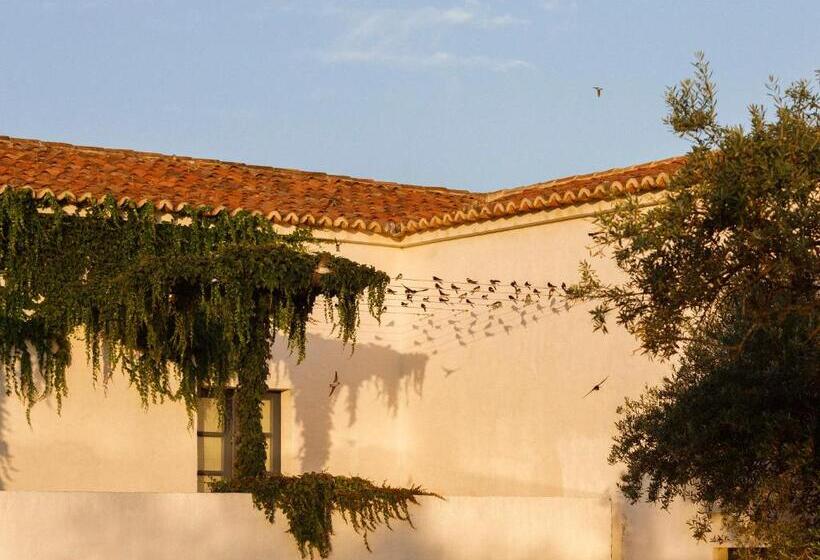 חדר סטנדרט פנימי, São Lourenço Do Barrocal