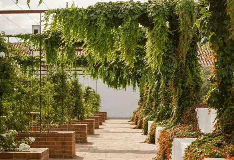 スタンダードルーム, São Lourenço Do Barrocal