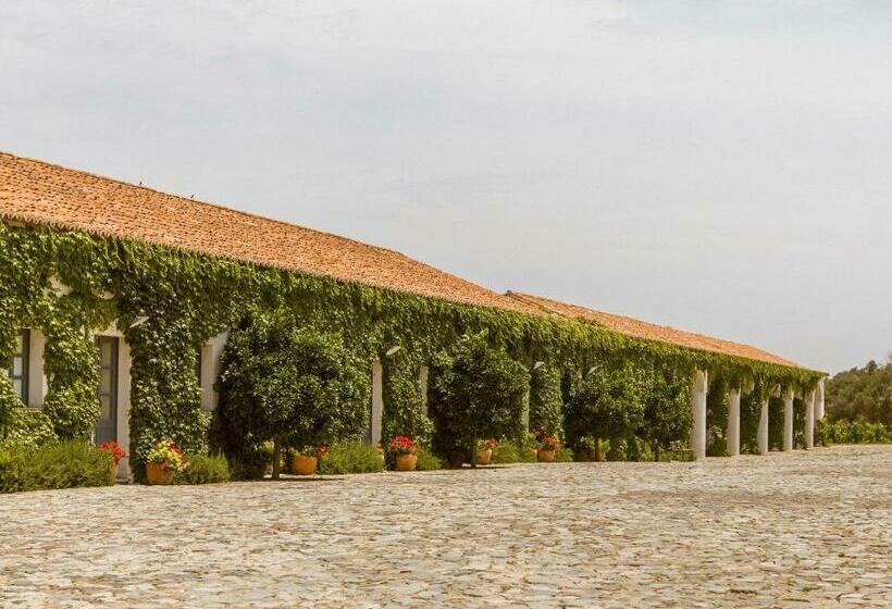 חדר סטנדרט, São Lourenço Do Barrocal