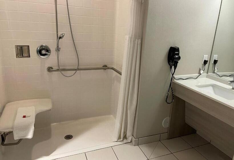 장애인을 위한 스탠다드 룸, Coratel Inn & Suites By Jasper Rochester