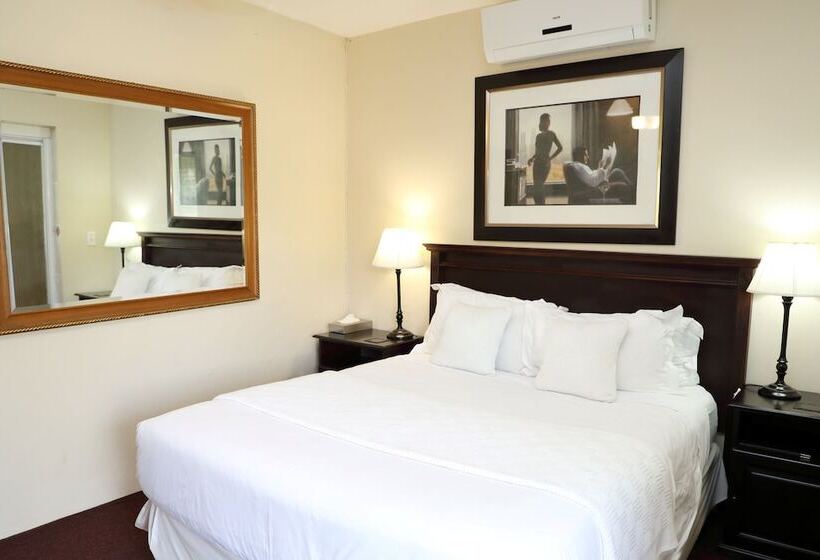 标准间, Kingston Place Guesthouse