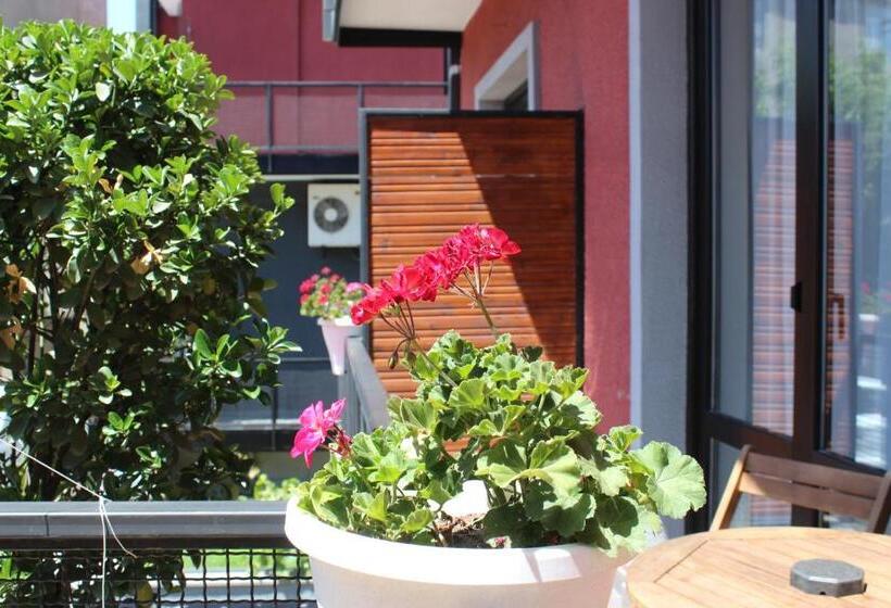 اتاق استاندارد یک نفره, Alliance