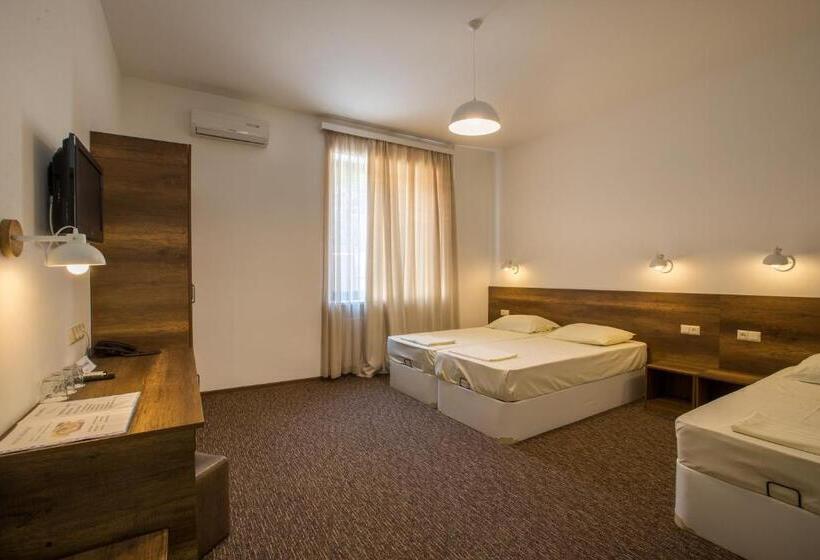 اتاق استاندارد سه نفره, Alliance