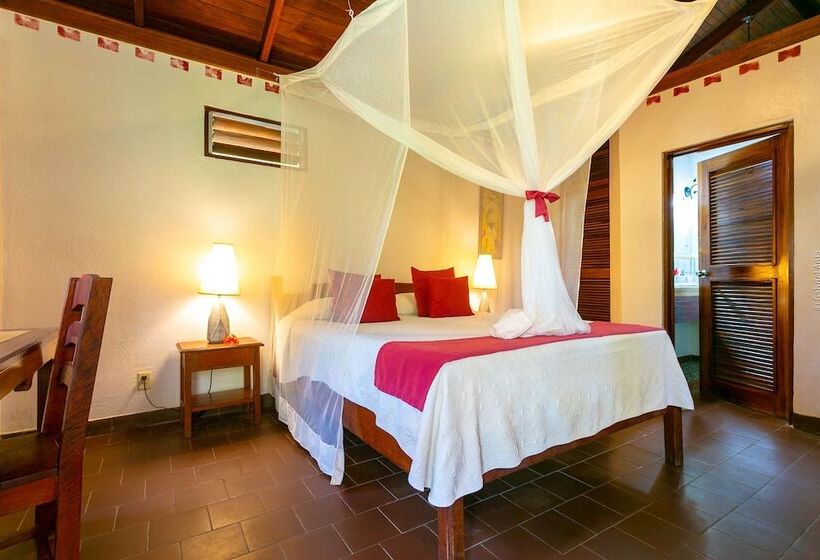 スタンダードルーム, El Encanto