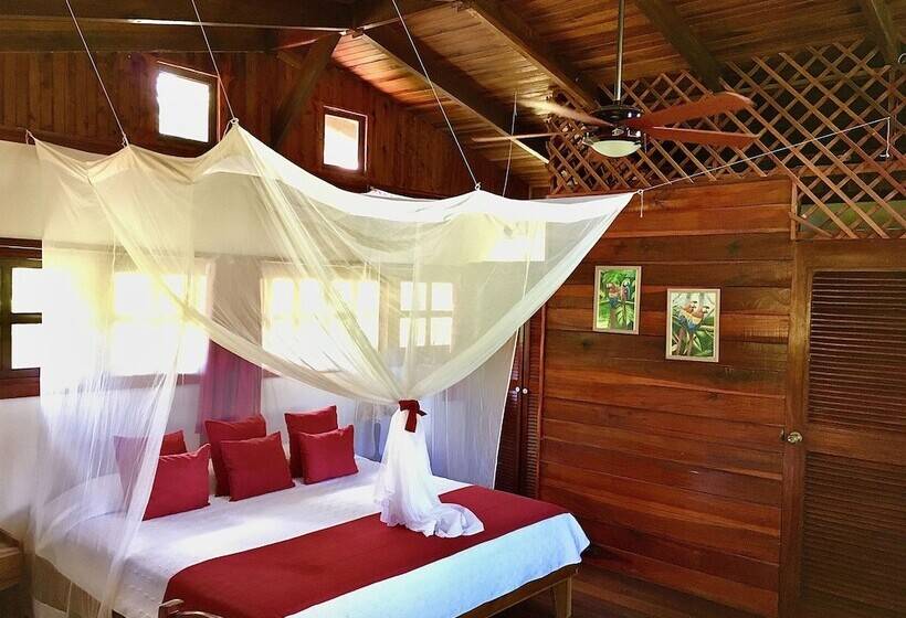 スタンダードルーム, El Encanto