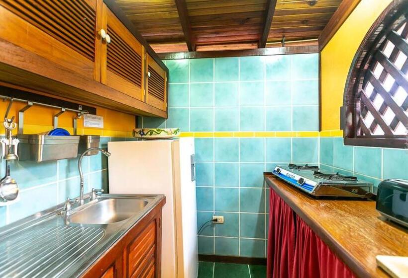 スタンダードスタジオ, El Encanto