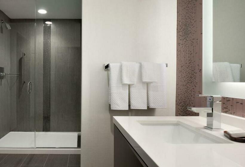 带2个卧室的套房, Embassy Suites By Hilton Charlotte Uptown 