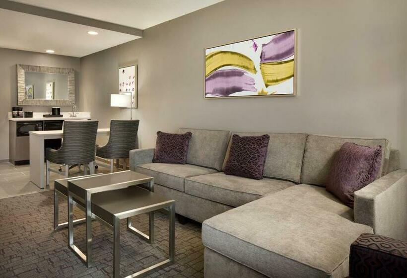 带大床的标准工作室, Embassy Suites By Hilton Charlotte Uptown 