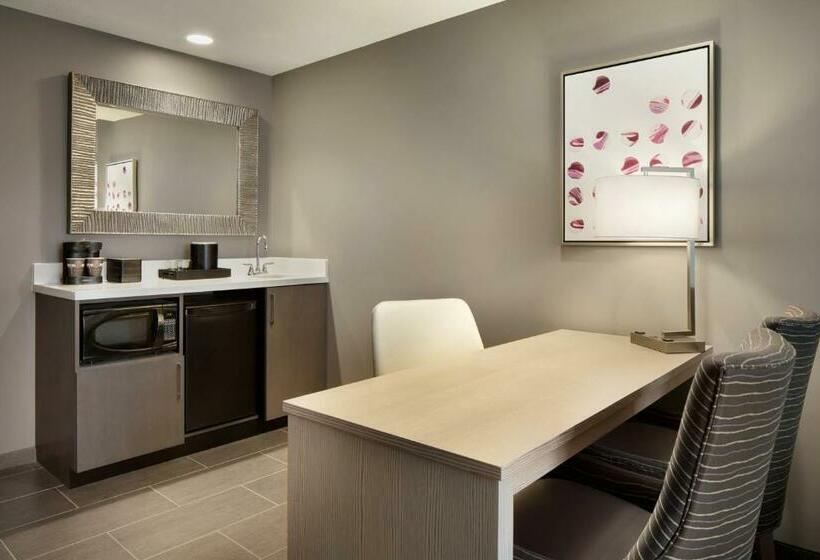 带大床的标准工作室, Embassy Suites By Hilton Charlotte Uptown 