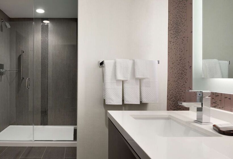 带双人床的标准工作室, Embassy Suites By Hilton Charlotte Uptown 