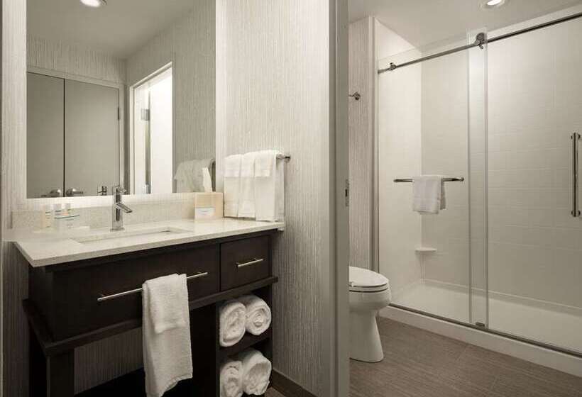 带大床的标准工作室, Embassy Suites By Hilton Charlotte Uptown 