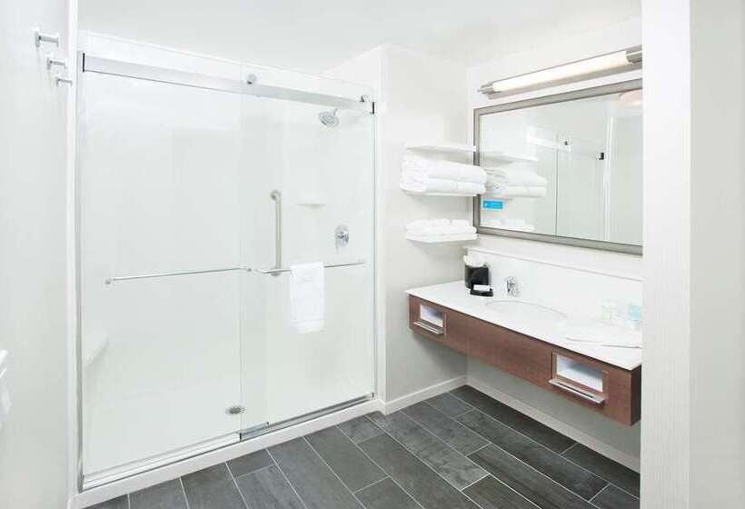 带大床的标准工作室, Embassy Suites By Hilton Charlotte Uptown 