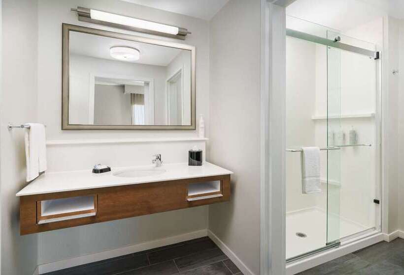 带大床的标准工作室, Embassy Suites By Hilton Charlotte Uptown 