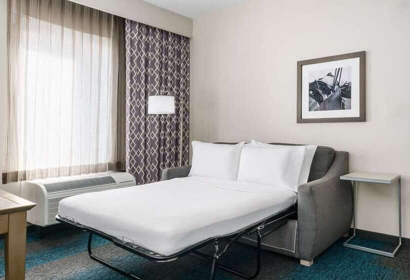 带大床的标准工作室, Embassy Suites By Hilton Charlotte Uptown 