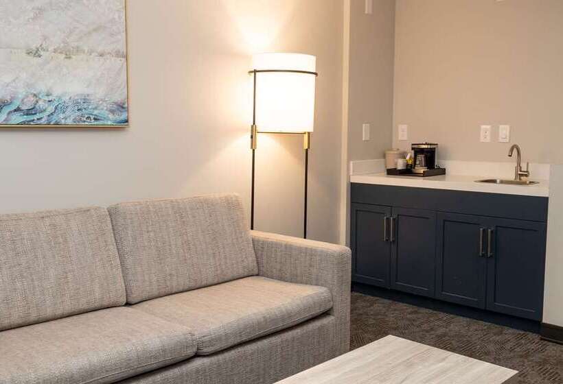 带大床的标准工作室, Embassy Suites By Hilton Charlotte Uptown 