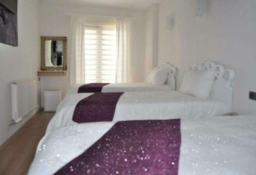 스탠다드 트리플 룸, Garra