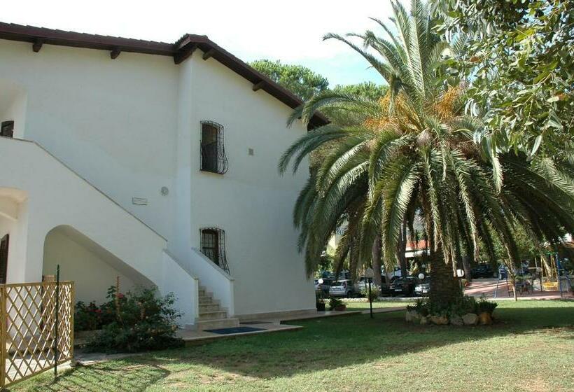 Семейный Номер, Anfora