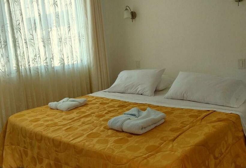 标准单人间, El Gamonal   Paracas