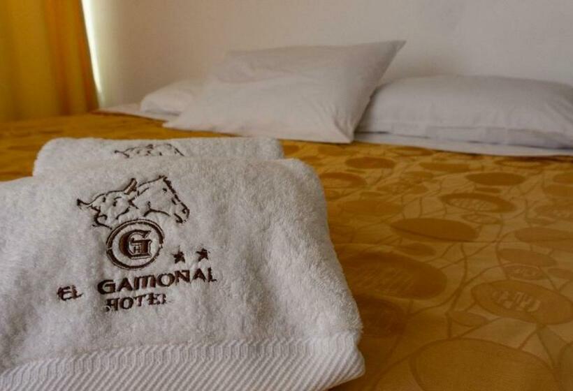 Номер Стандарт, El Gamonal   Paracas