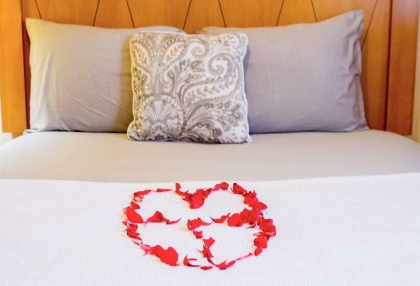 سوئیت جونیور با تراس, The Jam Lodge