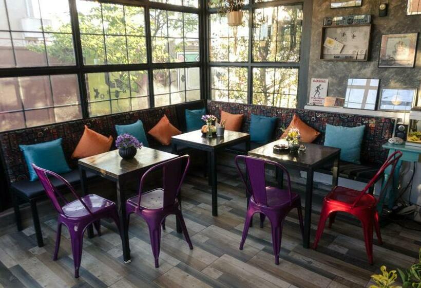 تختخواب در اتاق مشترک, Q Podgorica Beds,rooms And More