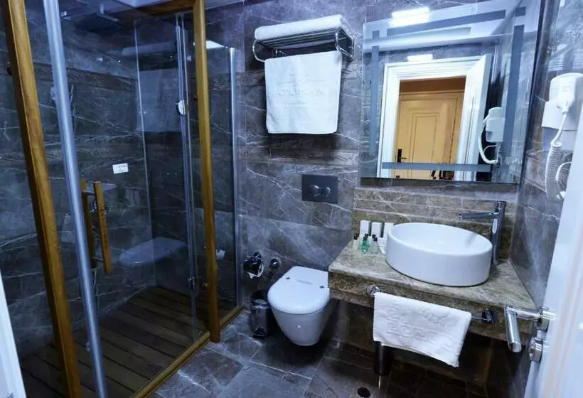 اتاق استاندارد یک نفره, Atlıhanpark