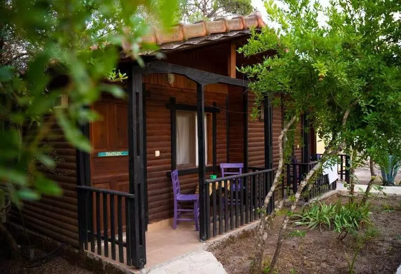 بانگلوی استاندارد, Koala Bungalows