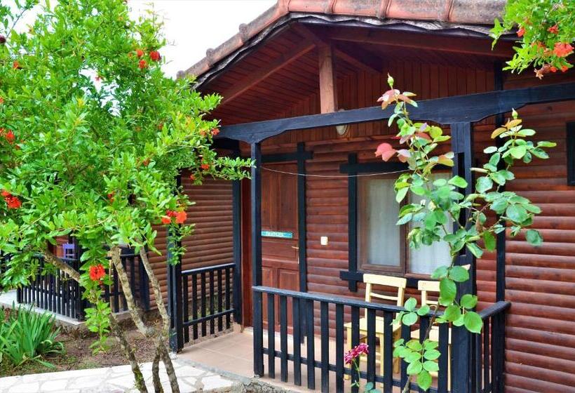 بانگلوی استاندارد, Koala Bungalows