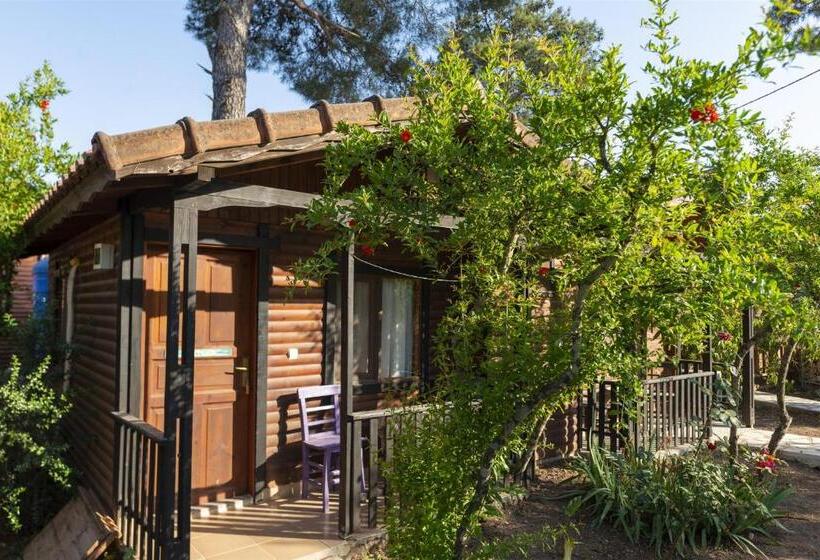 بانگلوی استاندارد, Koala Bungalows