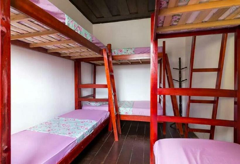 共用房间的床, Maracujá Hostel